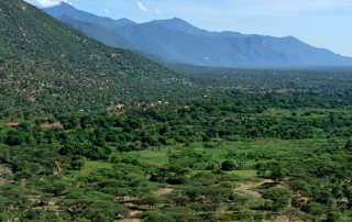 west_pokot